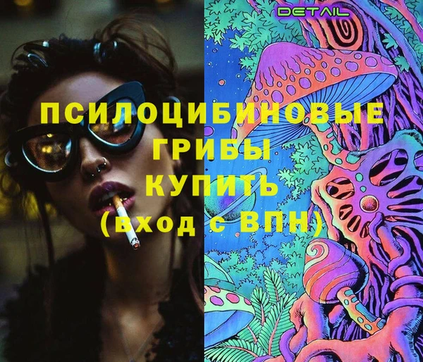 ГАЛЛЮЦИНОГЕННЫЕ ГРИБЫ Верхний Тагил